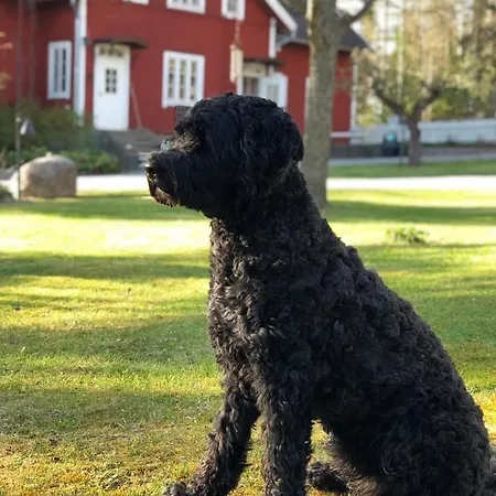 Lillby Bed & Breakfast *