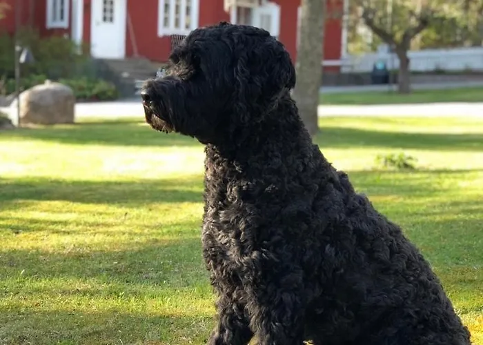 Lillby Frühstückspension *